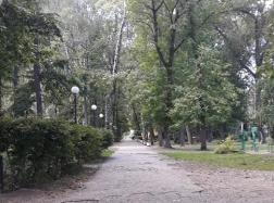 ﻿﻿Пензенцы жалуются на неблагоустроенный Комсомольский парк