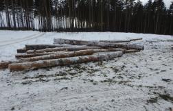 Мужчина заплатит больше 1 млн рублей за срубленные деревья в Пензенской области