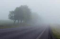 17 июня в Пензенской области ожидается туман