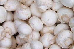 В Пензенской области в 5 раз выросло производство грибов