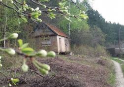 В Пензенской области прогнозируется оранжевый уровень погодной опасности