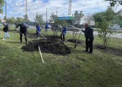 В Пензе до конца года посадят яблони и сирень