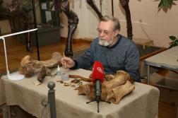 Кости найденного в Пензе носорога выставлены в музее