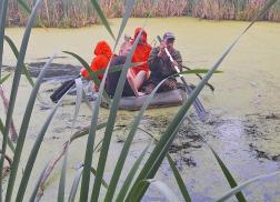 Зареченские подростки заблудились на лесном болоте