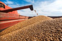 Из Пензенской области вывезли за границу 19 тысяч тонн зерна