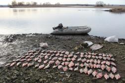 В Пензенской области поймали рыбных браконьеров