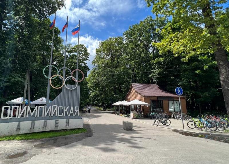 В Пензе на Олимпийской аллее строят туалет и кафетерий