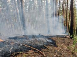 В Пензенской области борются с лесными пожарами