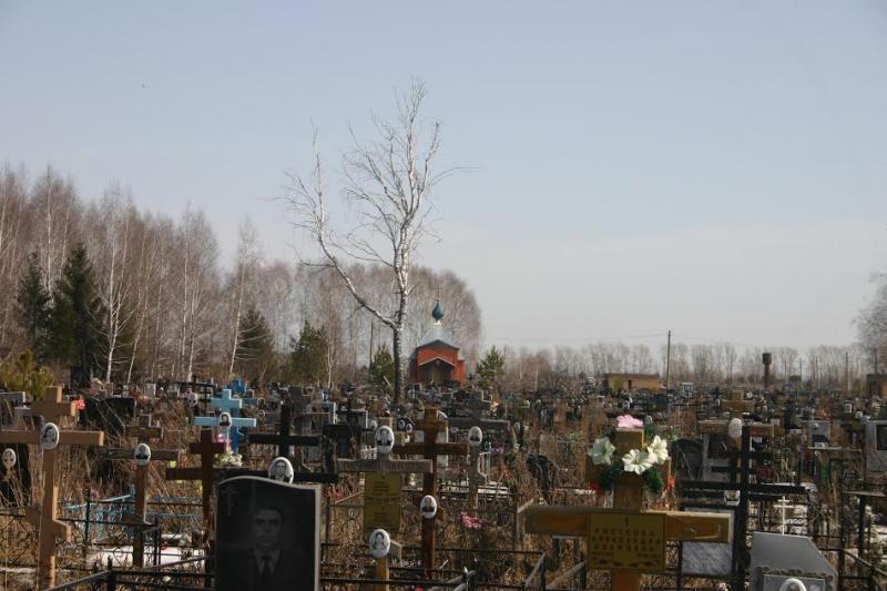 Расширение Восточного кладбища идет по плану