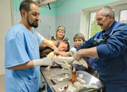 Пензенский травматолог сделал операцию пеликану