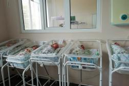 В Пензе в августе родились 7 двойняшек