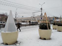В Пензе растения на площади Ленина готовят к зиме