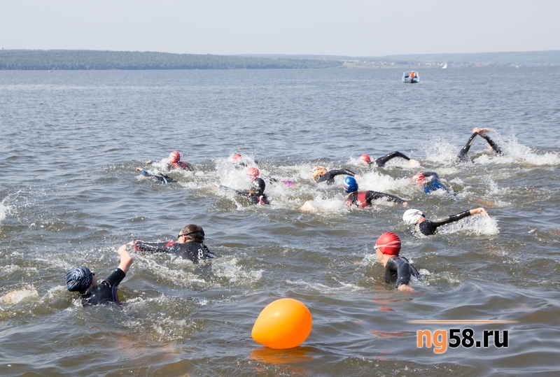 IMG_7701.jpg IMG_7701.jpg