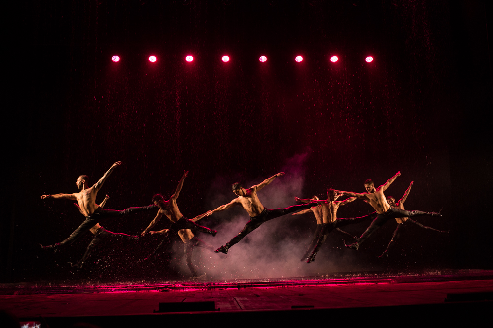 DSC_5895.jpg DSC_5895.jpg