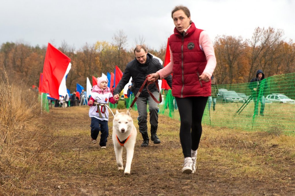 хаски1.jpg хаски1.jpg