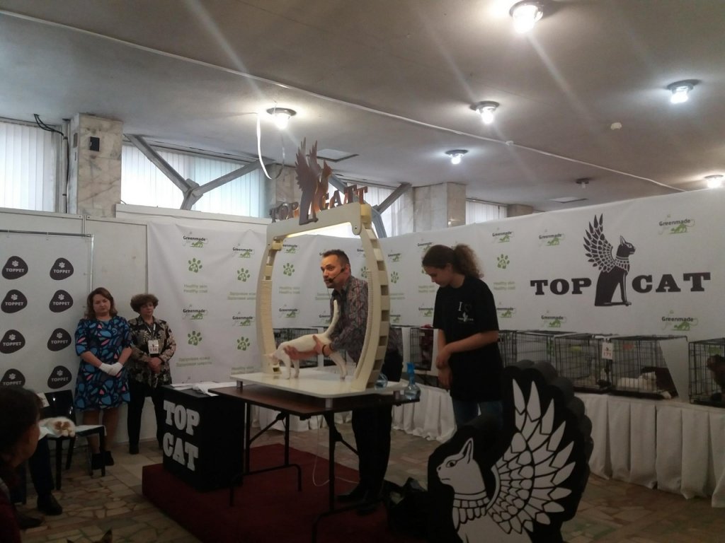 топкош3.jpg
